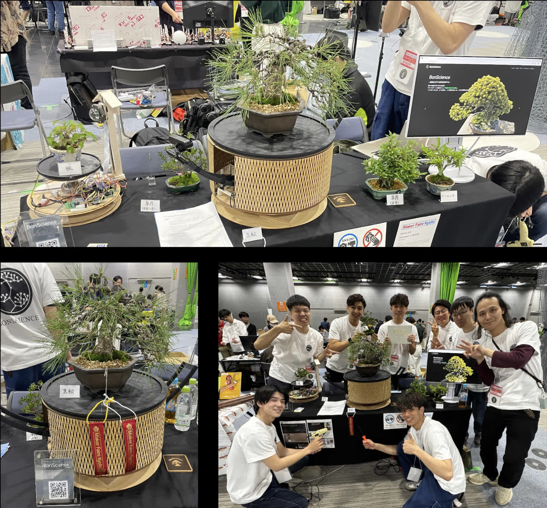 image-4