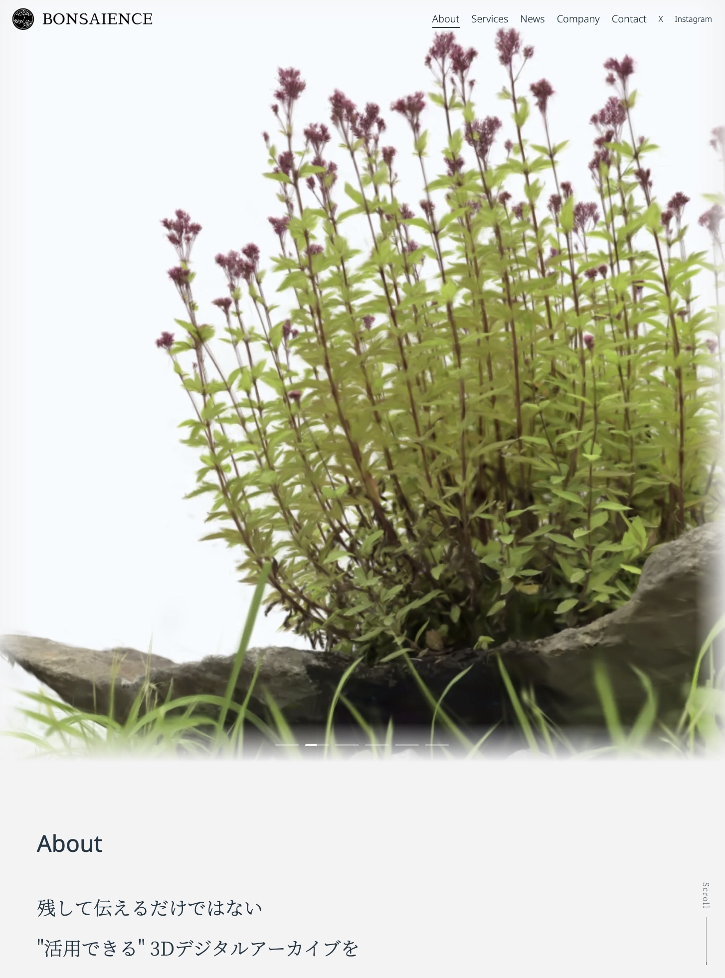 公式ホームページリニューアルのお知らせ